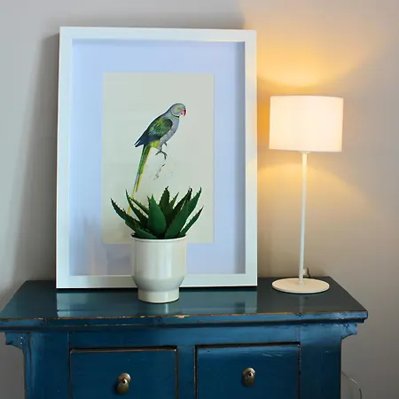Apartment Goya *